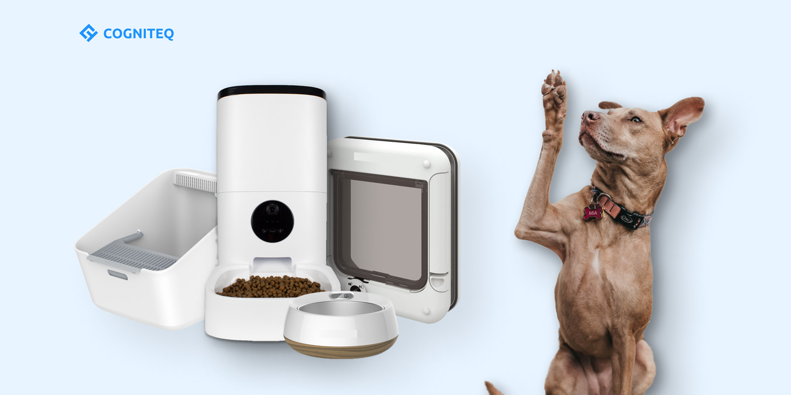 IoT soulutions for pets